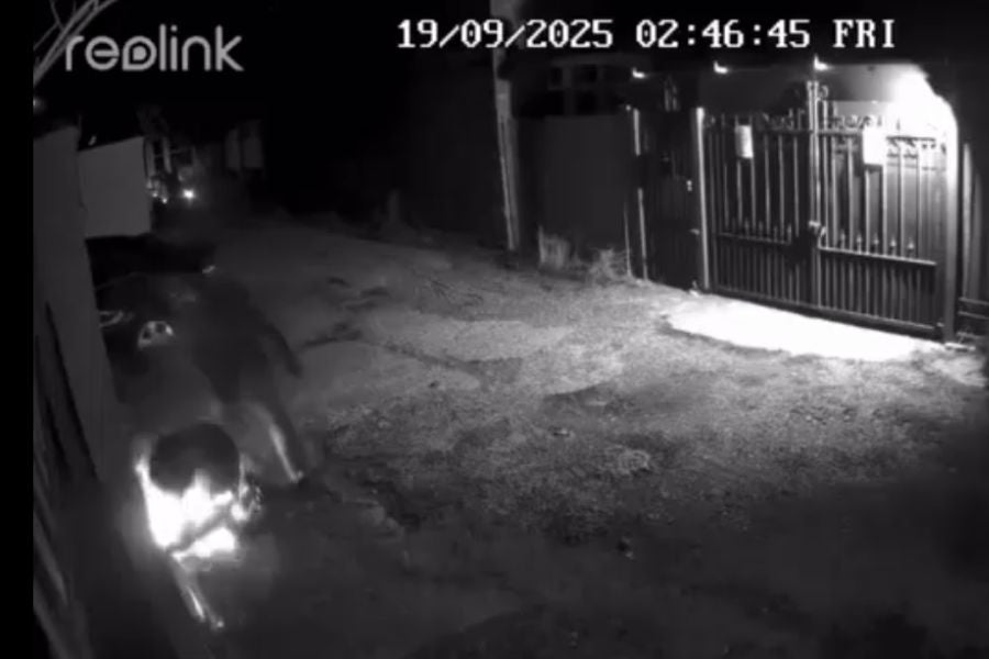 LITELOK X3 Saves Motorcycle in North London #91